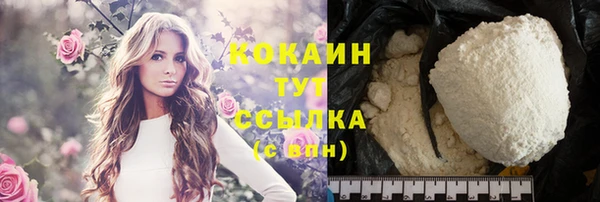 сатива Няндома