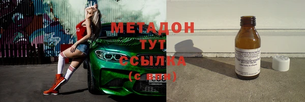 сатива Няндома