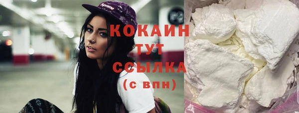 сатива Няндома