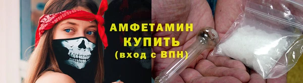 сатива Няндома