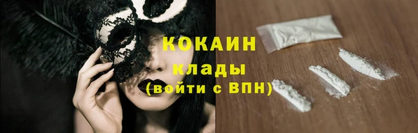 сатива Няндома
