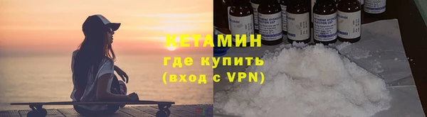 сатива Няндома