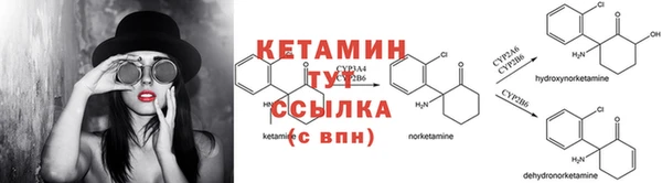 сатива Няндома