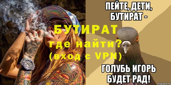 сатива Няндома