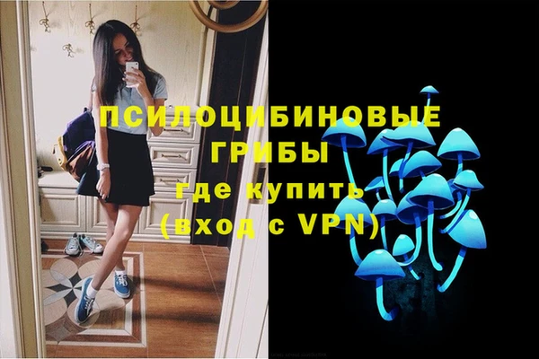 ПСИЛОЦИБИНОВЫЕ ГРИБЫ Нягань