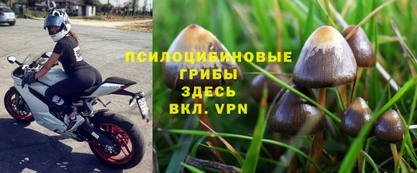сатива Няндома