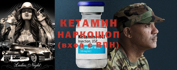 сатива Няндома