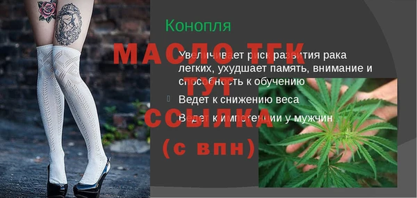 сатива Няндома