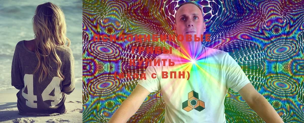 ПСИЛОЦИБИНОВЫЕ ГРИБЫ Нягань