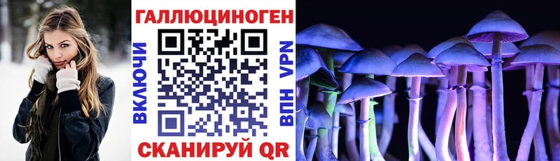 Галлюциногенные грибы ЛСД  Кедровый 