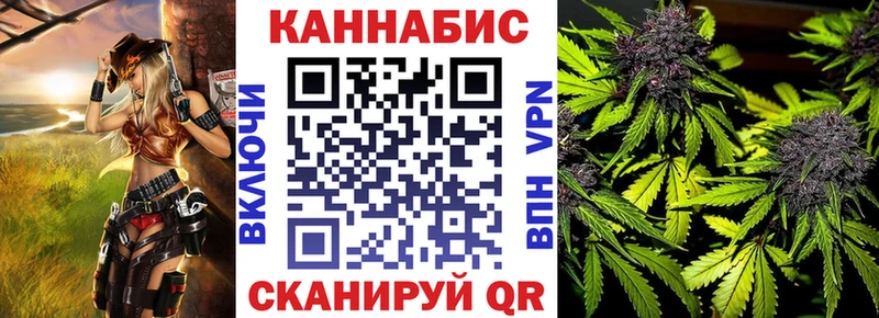 Каннабис планчик Кедровый