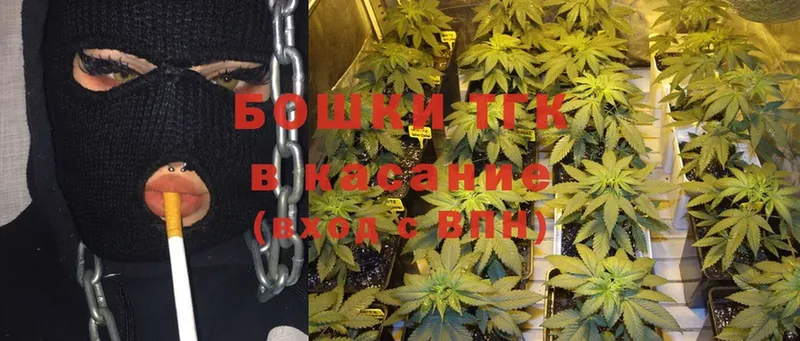 Конопля Bruce Banner  hydra онион  Кедровый 